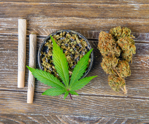 Hemp vs Cannabis CBD - What is the Difference?